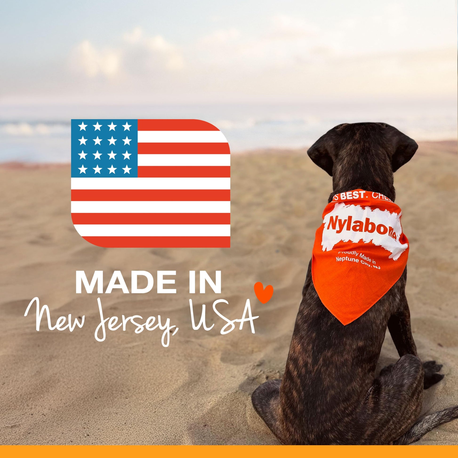 Buy now Nylabone Original Bone Flexi Chew Toy for Dogs, Flexible Dog Toys for Moderate Chewers, Chicken Flavor, Large/Giant, 1 Count at indiglob india