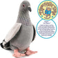 Pepper The Pigeon - 8.5 Inch Stuffed Animal Plush Bird