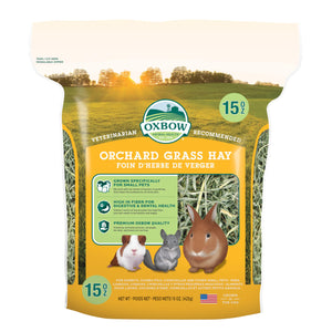 Buy now Oxbow Orchard Grass Hay, Rabbit & Guinea Pig Hay, High Fiber for Digestive Health, Grown in the USA, Veterinarian Recommended Small Pet Supplies, for Rabbits, Guinea Pigs, & Chinchillas, 15 oz. at indiglob india