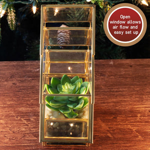 Christmas Tree Glass Terrarium- 8" Festive Planter for Holiday Home Decor- Add Xmas Cheer w DIY Succulents, Lights & Ornaments- Tabletop Centerpiece or Mantel, Office Decorations- Plant Lovers Gift
