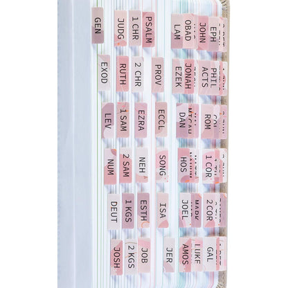 DiverseBee Laminated Bible Tabs (Large Print, Easy to Apply), Bible Tabs Old and New Testament, Bible Study Journaling Supplies, Bible Accessories, Bible Index Tabs, 72 Bible Book Tabs (Petal) Medium