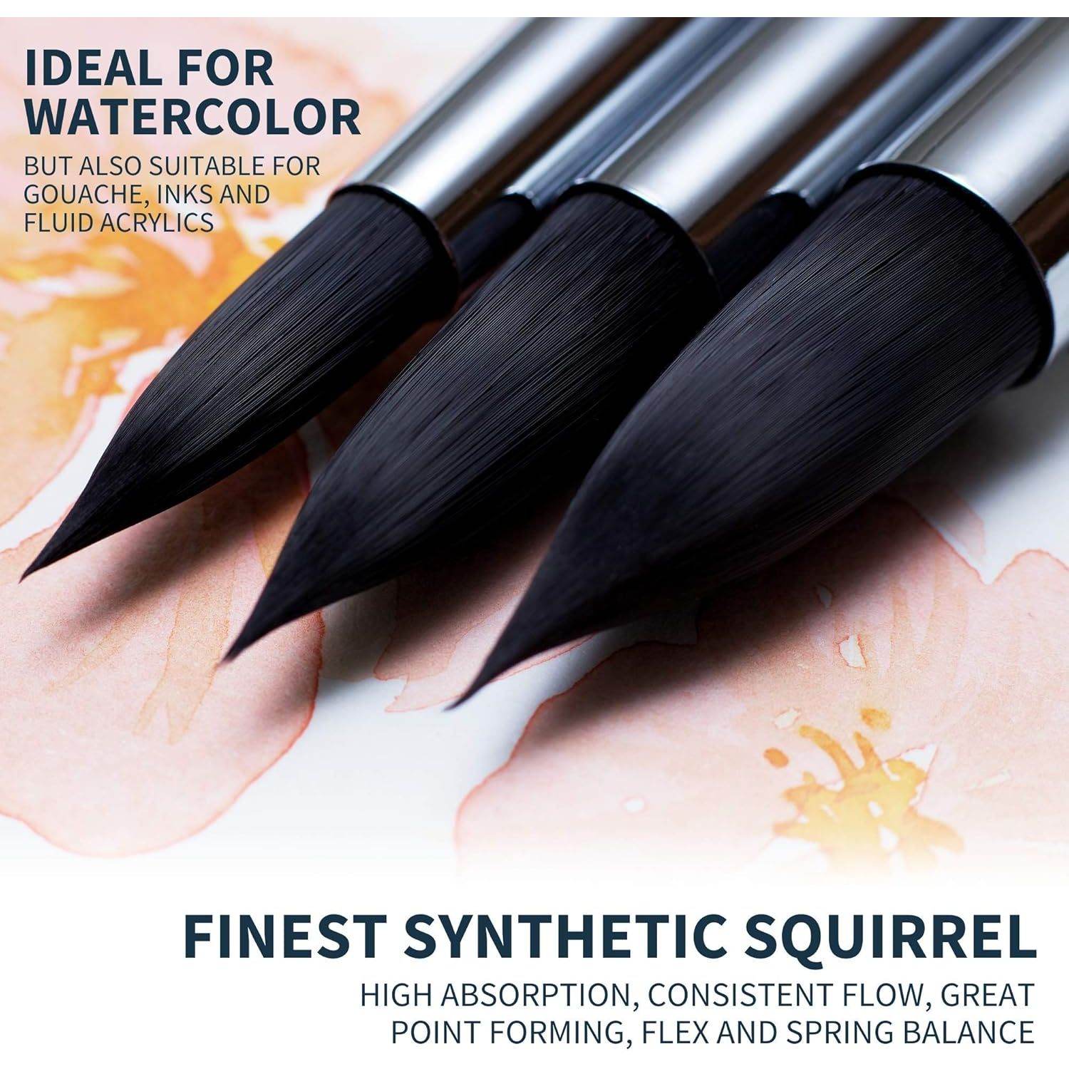 ARTEGRIA Watercolor Brush Set, 4 Professional Pointed Round Soft Synthetic Squirrel Paint Brushes, Sizes # 2, 4, 6, 8 - My Store