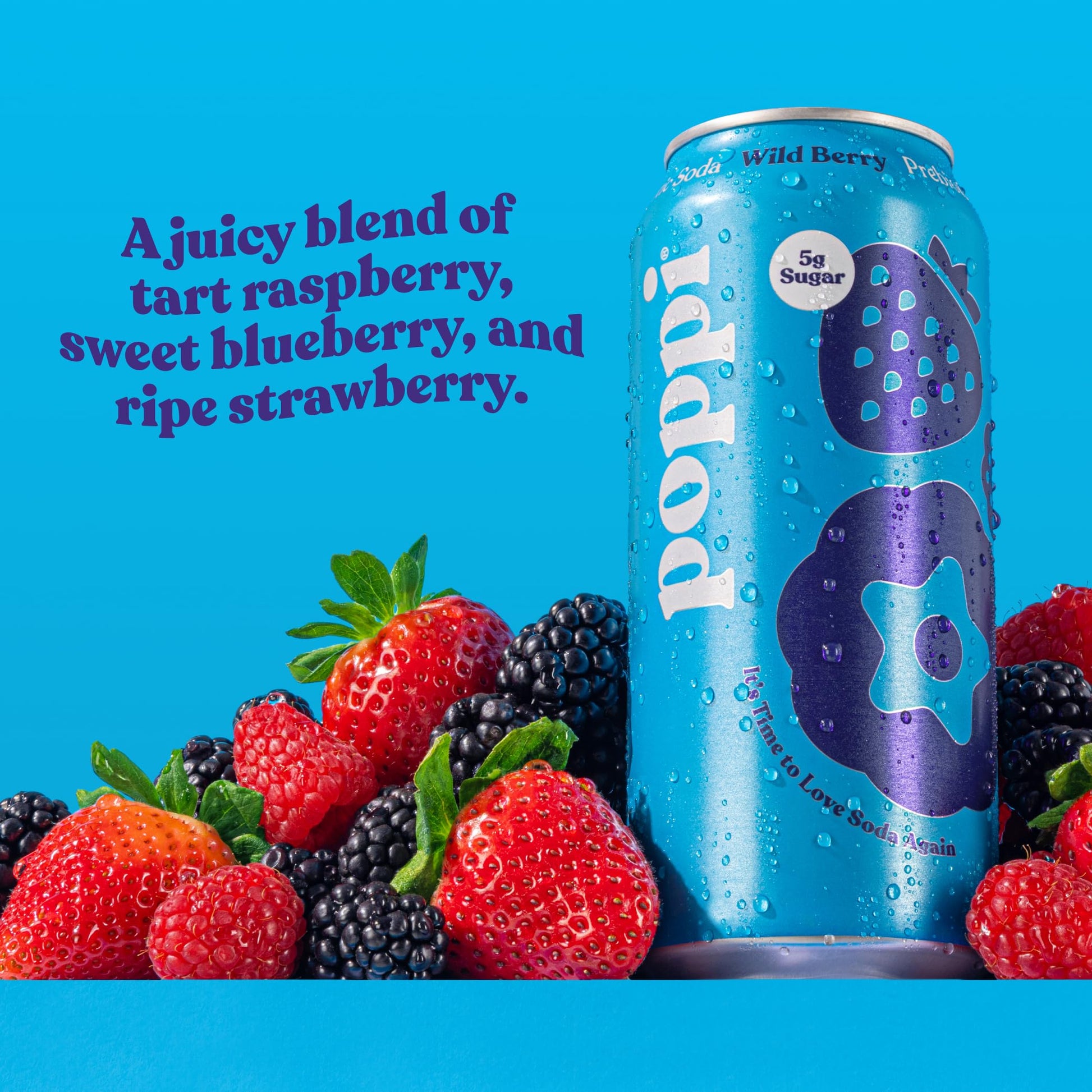 Buy now Poppi Prebiotic Soda Beverage with Apple Cider Vinegar, Seltzer Water and Fruit Juice, Wild Berry Flavor, 16 Fl Oz, Pack of 12, Packaging May Vary at indiglob india