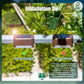 Buy now SOLPEX Solar Deck Lights Outdoor 16 Pack, Solar Step Lights Waterproof Led Solar lights for Outdoor Stairs, Step , Fence, Yard, Patio, and Pathway(Warm White) at indiglob india