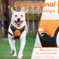Eagloo Dog Harness for Large Dogs, No Pull Service Vest with Reflective Strips and Control Handle, Adjustable and Comfortable for Walking, No Choke Pet Harness with 2 Metal Rings, Orange, L
