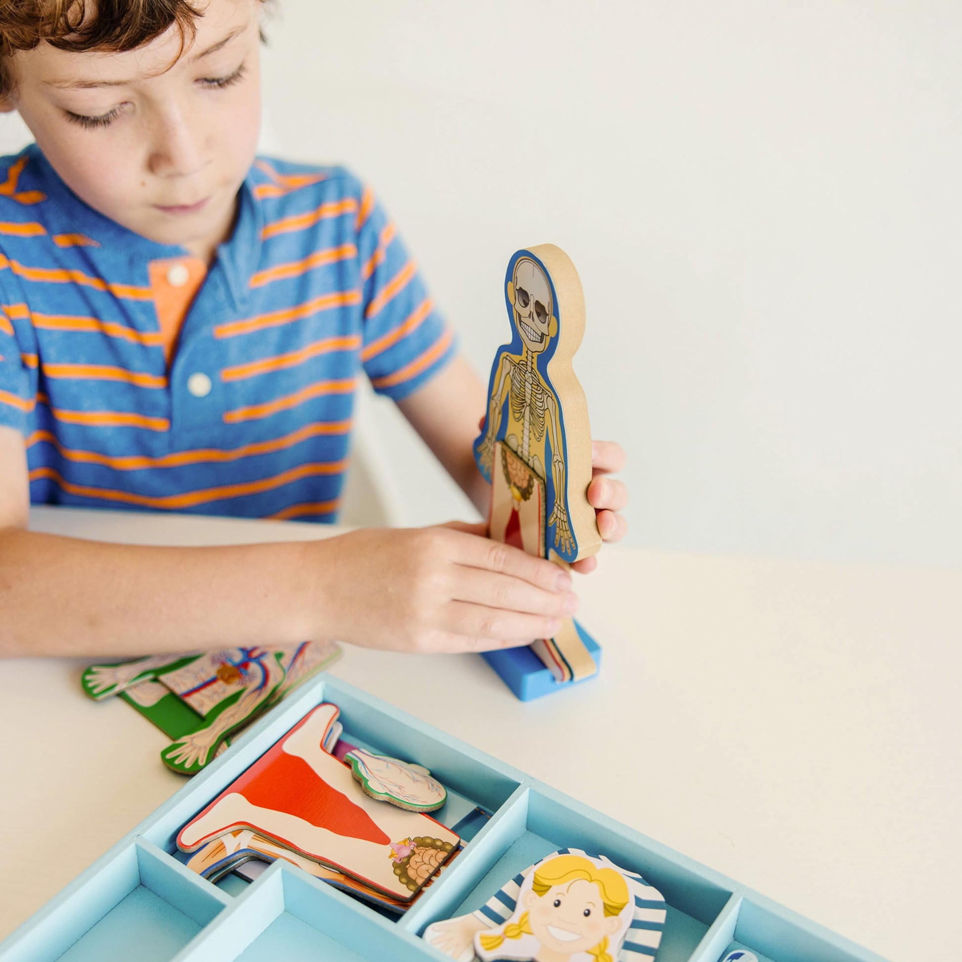 Buy now Melissa & Doug Magnetic Human Body Anatomy Play Set with 24 Magnetic Pieces and Storage Tray at indiglob india