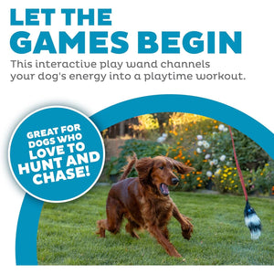 Outward Hound Tail Teaser Interactive Dog Wand Toy with Squeaky Plush Teaser and Crinkle Sounds for Active Play, Multicolored