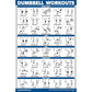 QUICKFIT 3 Pack - Dumbbell Workouts + Bodyweight Exercises + Barbell Routine Poster Set - Set of 3 Workout Charts (Laminated, 18" x 24")