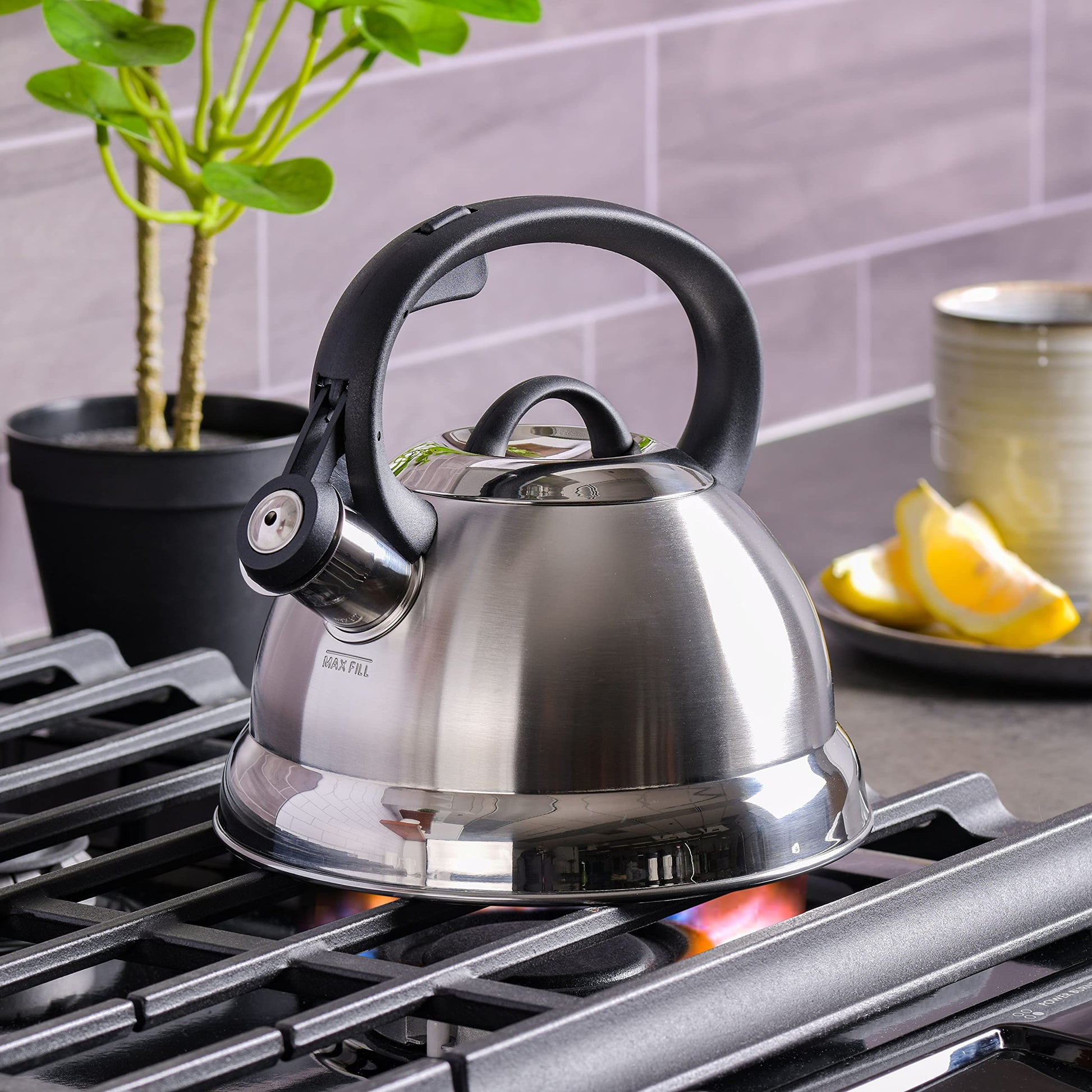 Buy now Mr. Coffee Flintshire 1.75-Quart Stainless Steel Whistling Tea Kettle – Brushed Satin Finish Stove-Top Kettle for Boiling Water at indiglob india