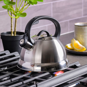 Buy now Mr. Coffee Flintshire 1.75-Quart Stainless Steel Whistling Tea Kettle – Brushed Satin Finish Stove-Top Kettle for Boiling Water at indiglob india