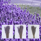Dried Lavender Bundles, Uieke Natural Dried Lavender Flowers 280-300 Stems 16“ for Home Weeding Decoration Flower Arrangements Home Fragrance 2 Bundles