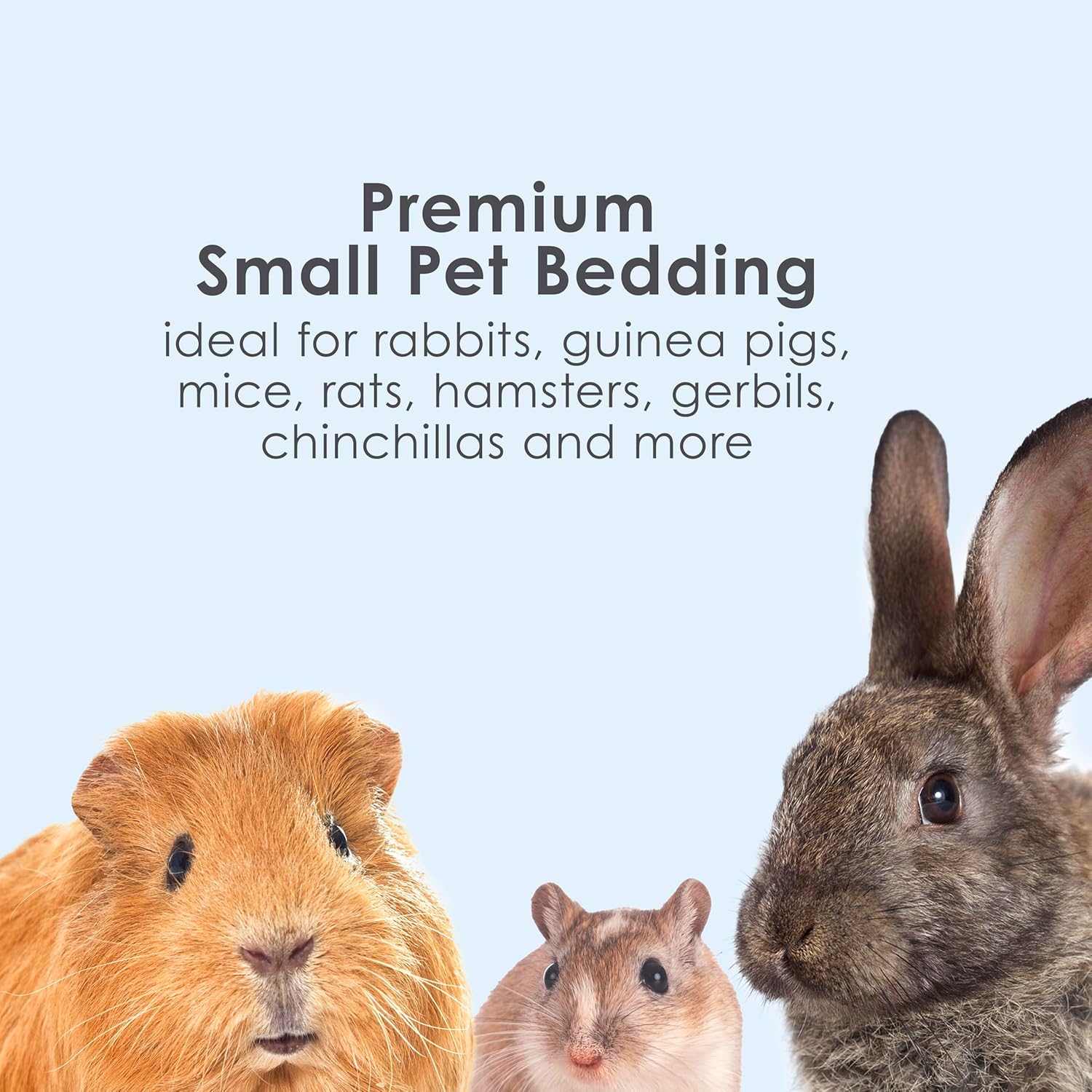 Buy now Kaytee Clean & Cozy White Paper Bedding, Made for Small Animals, 24.6 Liters at indiglob india