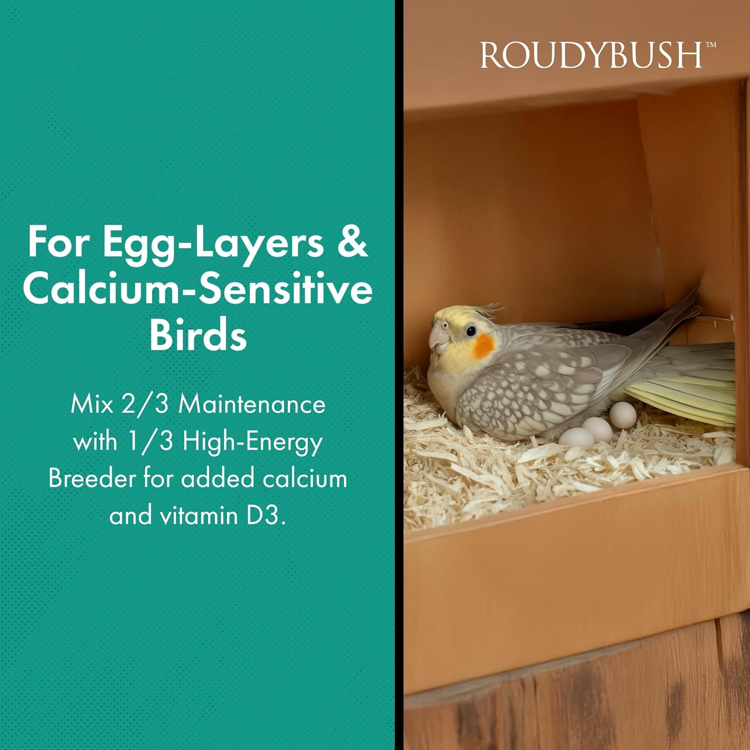 Buy now Roudybush Daily Maintenance Food for Birds - Scientifically Formulated Bird Feed - Bird Food Pellets w/Corn, Wheat, Soy & More - Nutritious & Healthy Feed for Birds (Medium, 22oz) at indiglob india