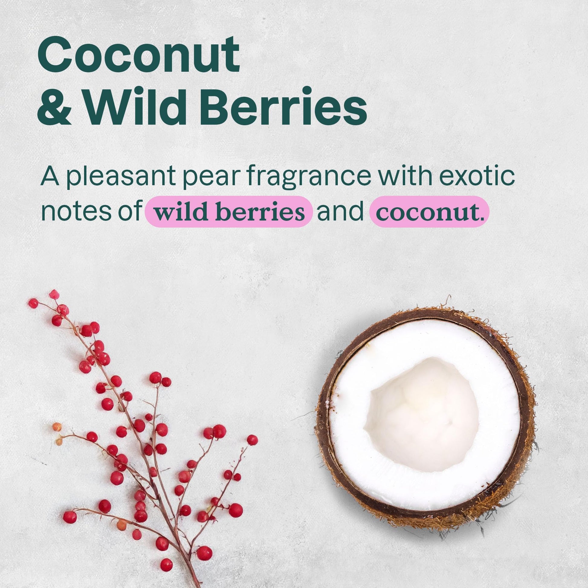Buy now ATTITUDE Liquid Hand Soap, EWG Verified, Plant and Mineral-Based, Vegan Personal Care Products, Coconut & Wild Berries Scent, 16 Fl Oz at indiglob india