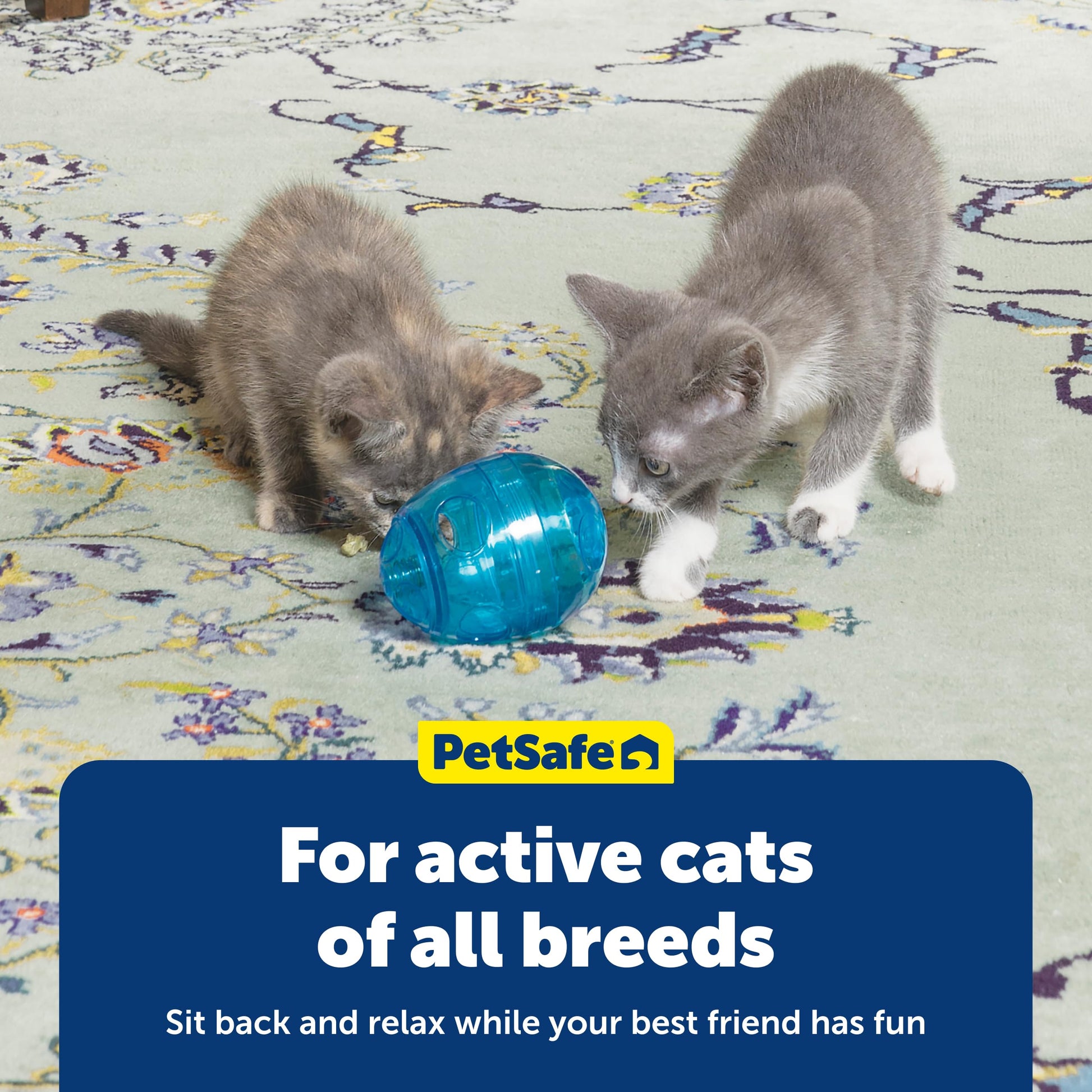 Buy now PetSafe FUNkitty Egg-Cersizer - Cat Toy - Slow-Feeder for Cats to Slow Down & Reduce Aggressive Eating - Durable Multi-Functional Enrichment Toy for Improved Digestion & Exercise at indiglob india
