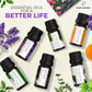 Essential Oils Set by Pure Aroma - Top 6 Aromatherapy Oils Gift Set-6 Pack, 10ml (Eucalyptus, Lavender, Lemongrass, Sweet Orange, Peppermint, Tea Tree)