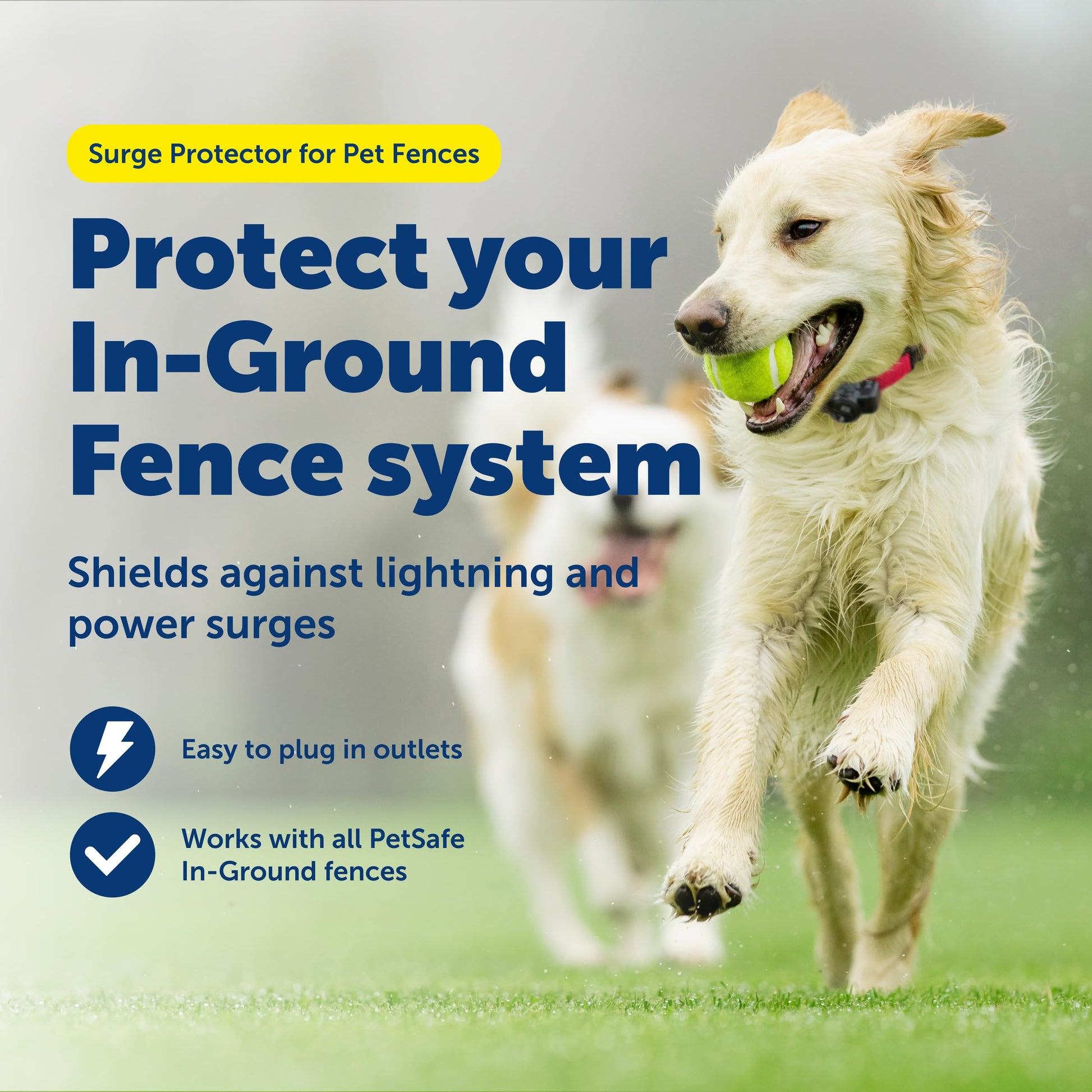 Buy now PetSafe Surge Protector for Pet Fences - Surge Protection Device - Electrical Protector - Durable Pet Fence Kit - Easy Installation - Fence Guard for Dogs - Outdoor Training Tool at indiglob india
