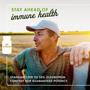 Swanson Olive Leaf Extract Capsules with 20% Oleuropein - Provides Immune Support, Promotes Cardiovascular System Health, and Supports Healthy Blood Pressure - (120 Capsules, 500mg Each)