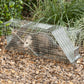 Buy now Havahart Large 2 Door Humane Catch and Release Live Animal Trap for Armadillos, Beavers, Bobcats, Small Dogs, Cats, Foxes, Groundhogs, Nutria, Opossums, Raccoons, Live Catch Trap for Stray Dogs 1045SR at indiglob india
