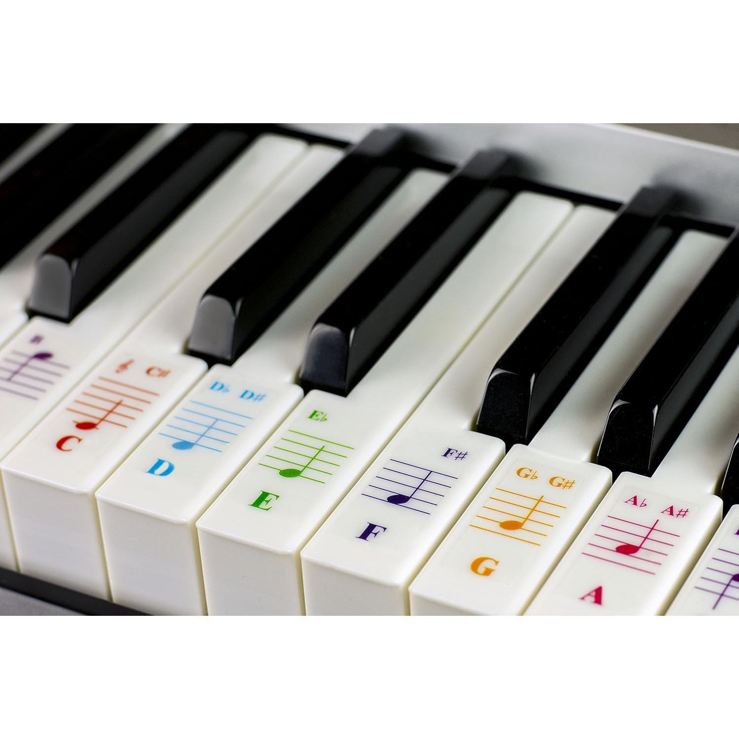 Buy now QMG Piano Keyboard Stickers for 88/76/61/54/49/37 Key Large Letter Piano Stickers for Learning, Removable Piano Keyboard Letters, Notes Label for Beginners and Kids, Made in USA at indiglob india