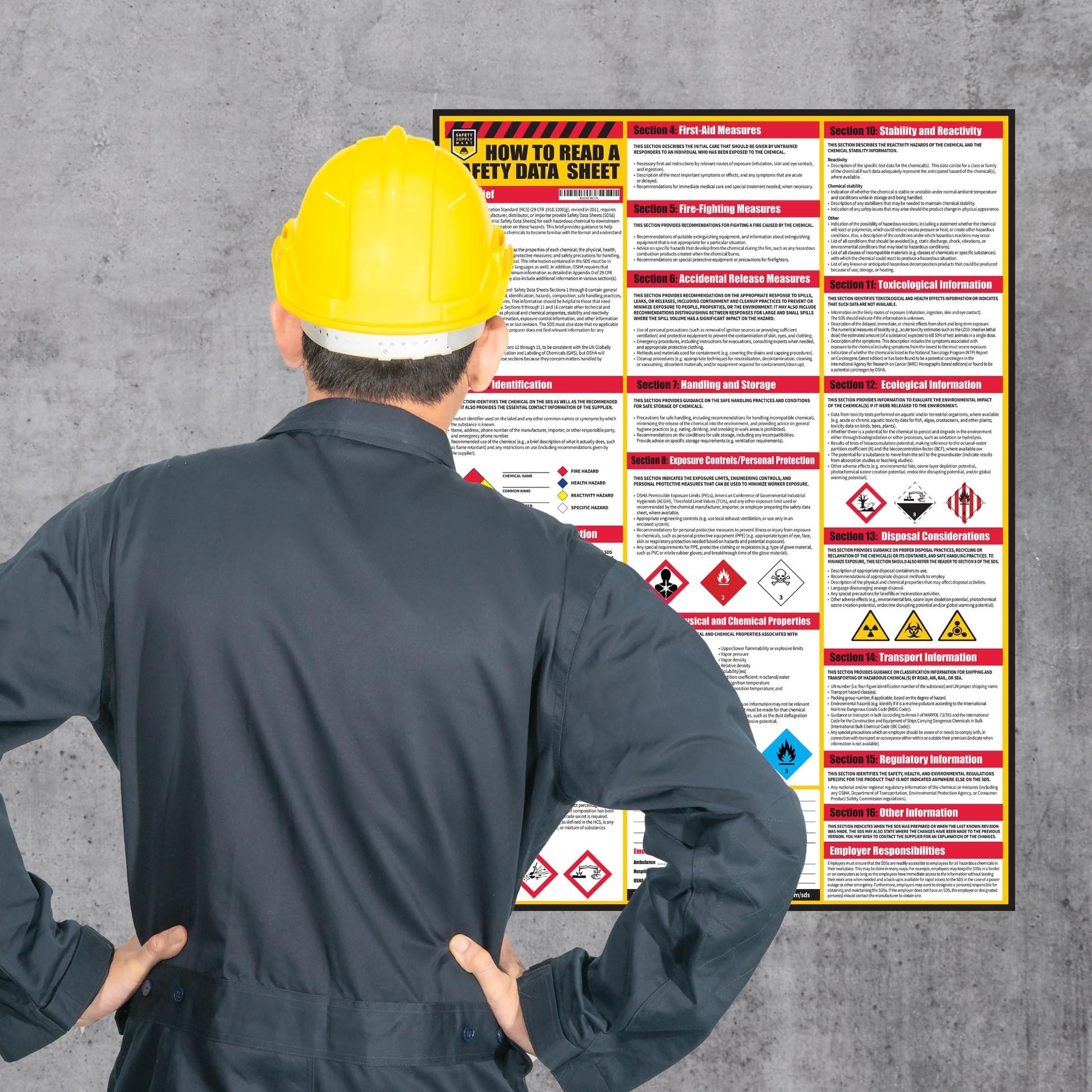 Buy now How To Read A Safety Data Sheet (SDS/MSDS) Poster, 24 x 33 Inch, UV Coated Paper (Poster) at indiglob india