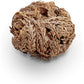 Luchea's Psychic World Herbs-Rose of Jericho-Whole