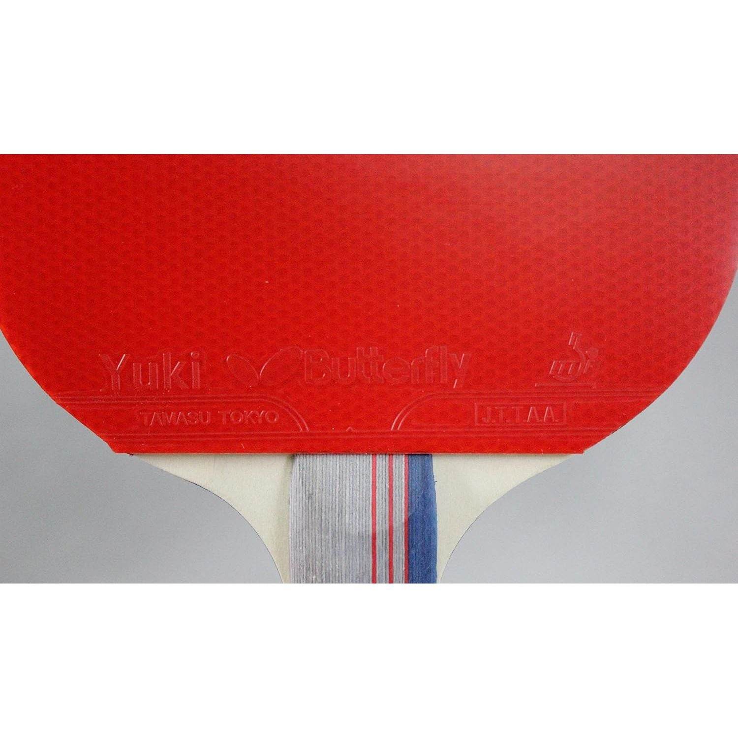 Butterfly 401 Table Tennis Racket Set - 1 Ping Pong Paddle – 1 Ping Pong Paddle Case - ITTF Approved Table Tennis Paddle - Ships in Ping Pong Racket Gift Box, Multi, B401FL - My Store