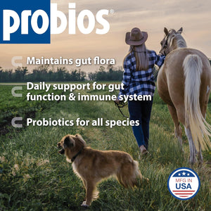 Probios Digestive Support Probiotic for All Species, Probiotics for Gut Health, Dispersible Powder, 5 lbs