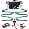 SHINE HAI Retractable Hands Free Dog Leash with Dual Bungees for 2 Dogs, Adjustable Waist Belt Fanny Pack, Reflective Stitching Leash for Running Walking Hiking Jogging Biking Black - Blue/Black