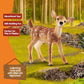 Schleich Wild Life Realistic White-Tailed Fawn Figurine - Authentic and Highly Detailed Wild Animal Toy, Durable for Education and Fun Play for Kids, Perfect for Boys and Girls, Ages 3+