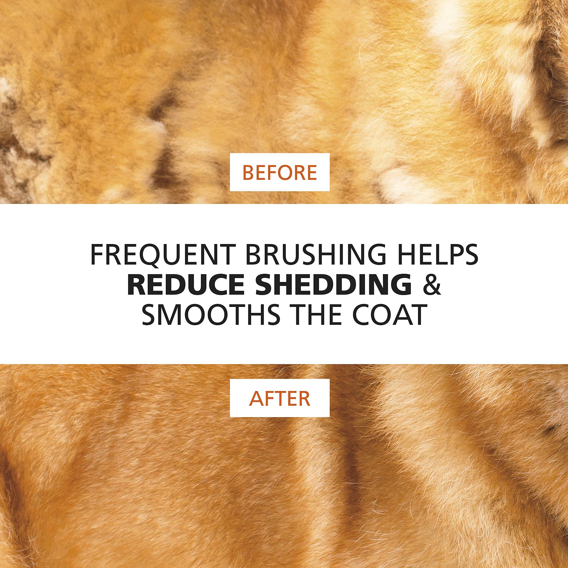 Buy now Wahl Premium Patented Dual Level Sensitive Skin Pet Slicker ƒ?? Ergonomic handle makes Deshedding, Grooming and Brushing Comfortable for you and your Dog or Cat - 858500 at indiglob india