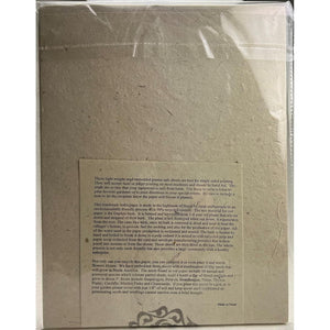 25 Seed Embedded Recycled Lotka Printer Paper