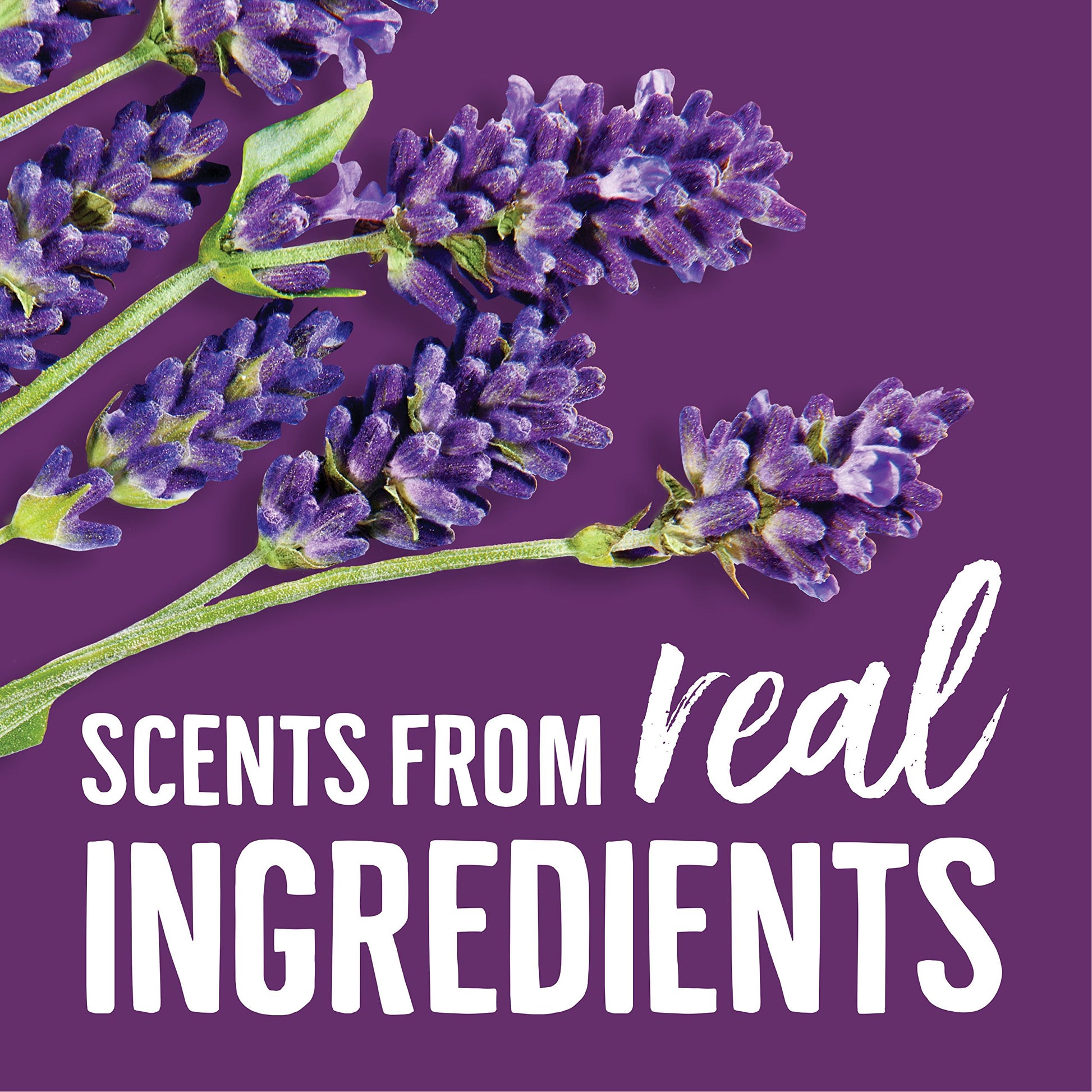 Buy now Seventh Generation Liquid Laundry Detergent, Fresh Lavender scent, 50 oz, 33 loads (Packaging May Vary) at indiglob india