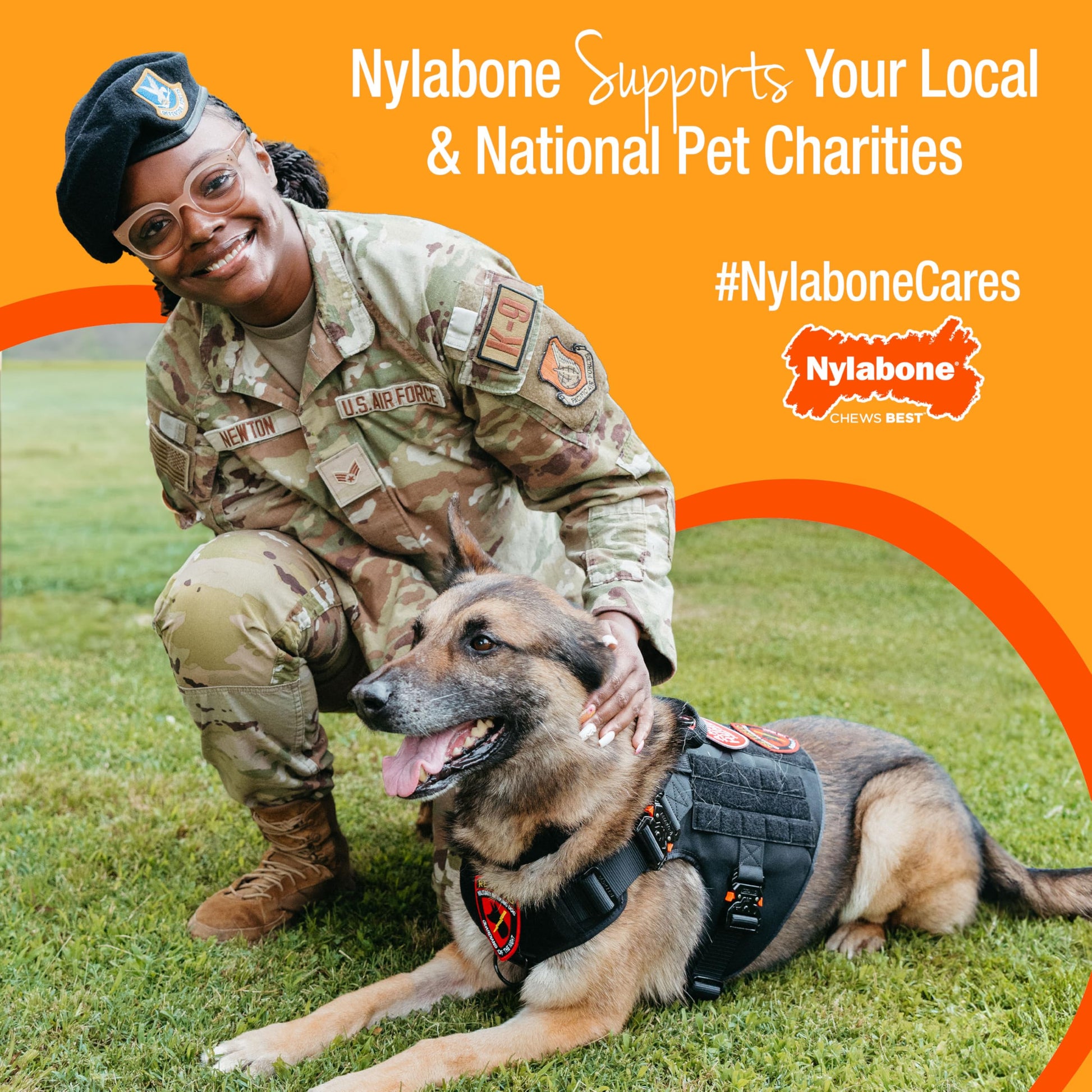 Buy now Nylabone Wishbone Puppy Chew Toy, Toys for Teething Puppies, Pink, Chicken Flavor, X-Small - Up to 15 lbs, 1 Count at indiglob india