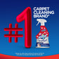 Buy now Resolve Pet Expert Stain and Odor Remover, Carpet Cleaner, Pet Stain and Odor Remover, Carpet & Upholstery Cleaner - Removes Stains and Odors, 22 oz at indiglob india