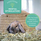 Buy now Oxbow Orchard Grass Hay, Rabbit & Guinea Pig Hay, High Fiber for Digestive Health, Grown in the USA, Veterinarian Recommended Small Pet Supplies, for Rabbits, Guinea Pigs, & Chinchillas, 15 oz. at indiglob india