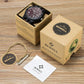 BEWELL Men's Wooden Watches Handmade Date Display Analog Quartz Luminous Wristwatch