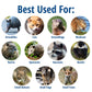 Buy now Havahart Large 2 Door Humane Catch and Release Live Animal Trap for Armadillos, Beavers, Bobcats, Small Dogs, Cats, Foxes, Groundhogs, Nutria, Opossums, Raccoons, Live Catch Trap for Stray Dogs 1045SR at indiglob india