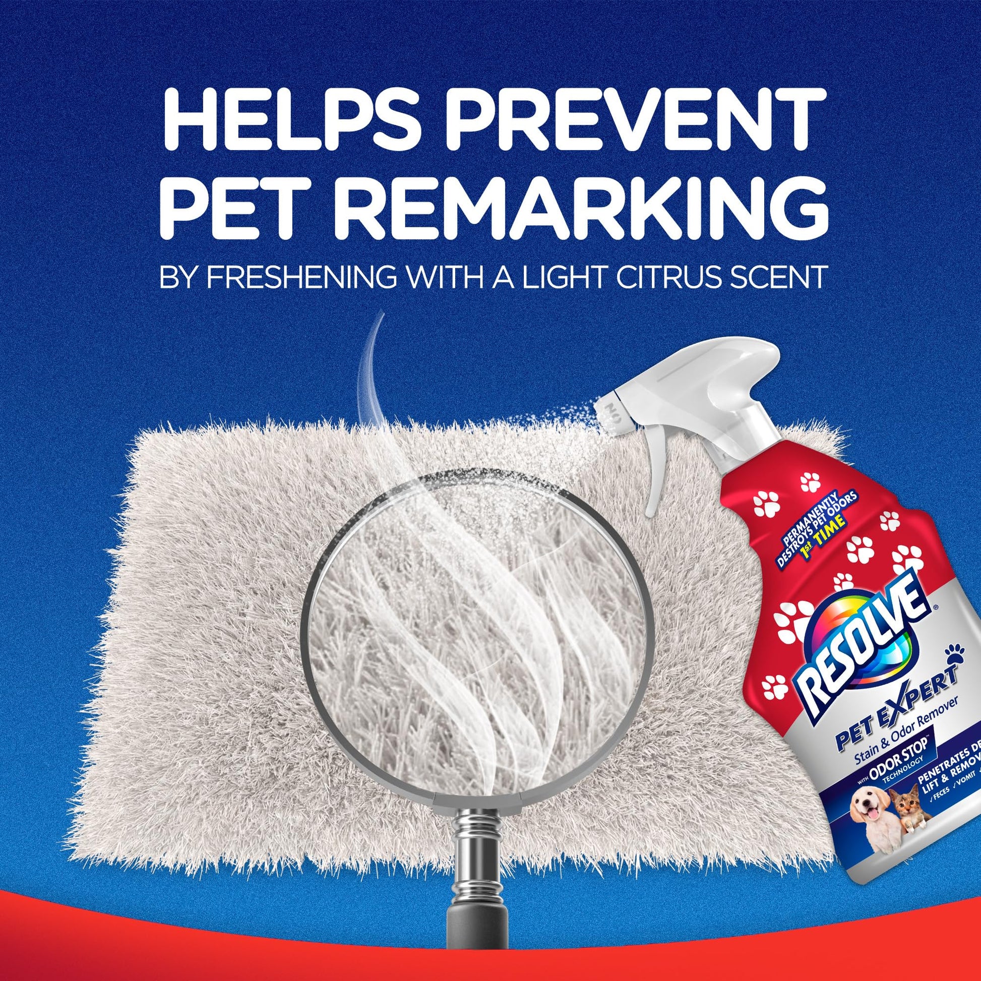 Buy now Resolve Pet Expert Stain and Odor Remover, Carpet Cleaner, Pet Stain and Odor Remover, Carpet & Upholstery Cleaner - Removes Stains and Odors, 22 oz at indiglob india