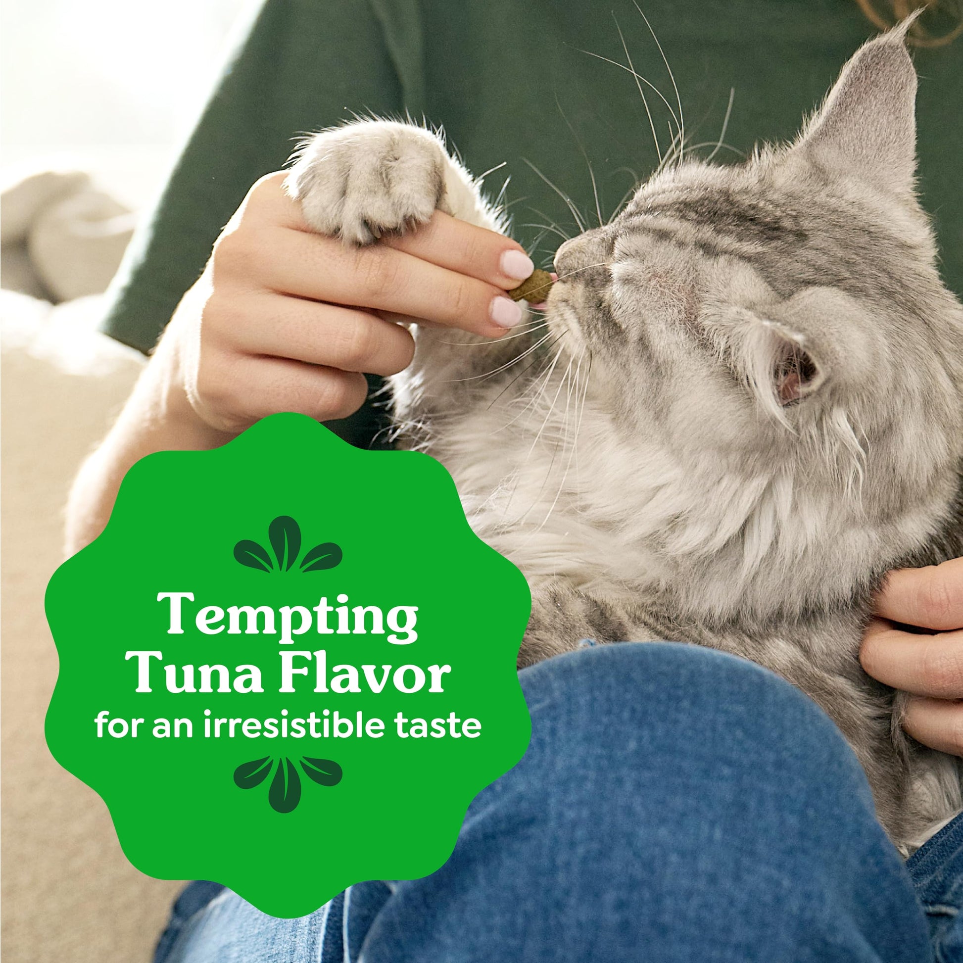 Buy now Greenies Cat Treats, Veterinarian-Recommended Adult Natural Dental Cat Treats, Tempting Tuna Flavor, 9.75 oz. Tub at indiglob india