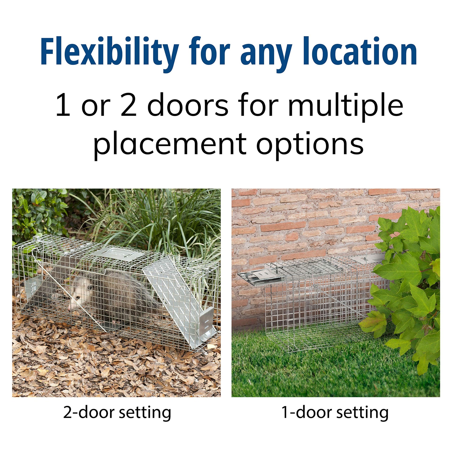 Buy now Havahart Large 2 Door Humane Catch and Release Live Animal Trap for Armadillos, Beavers, Bobcats, Small Dogs, Cats, Foxes, Groundhogs, Nutria, Opossums, Raccoons, Live Catch Trap for Stray Dogs 1045SR at indiglob india