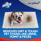 Buy now Resolve Pet Expert Stain and Odor Remover, Carpet Cleaner, Pet Stain and Odor Remover, Carpet & Upholstery Cleaner - Removes Stains and Odors, 22 oz at indiglob india