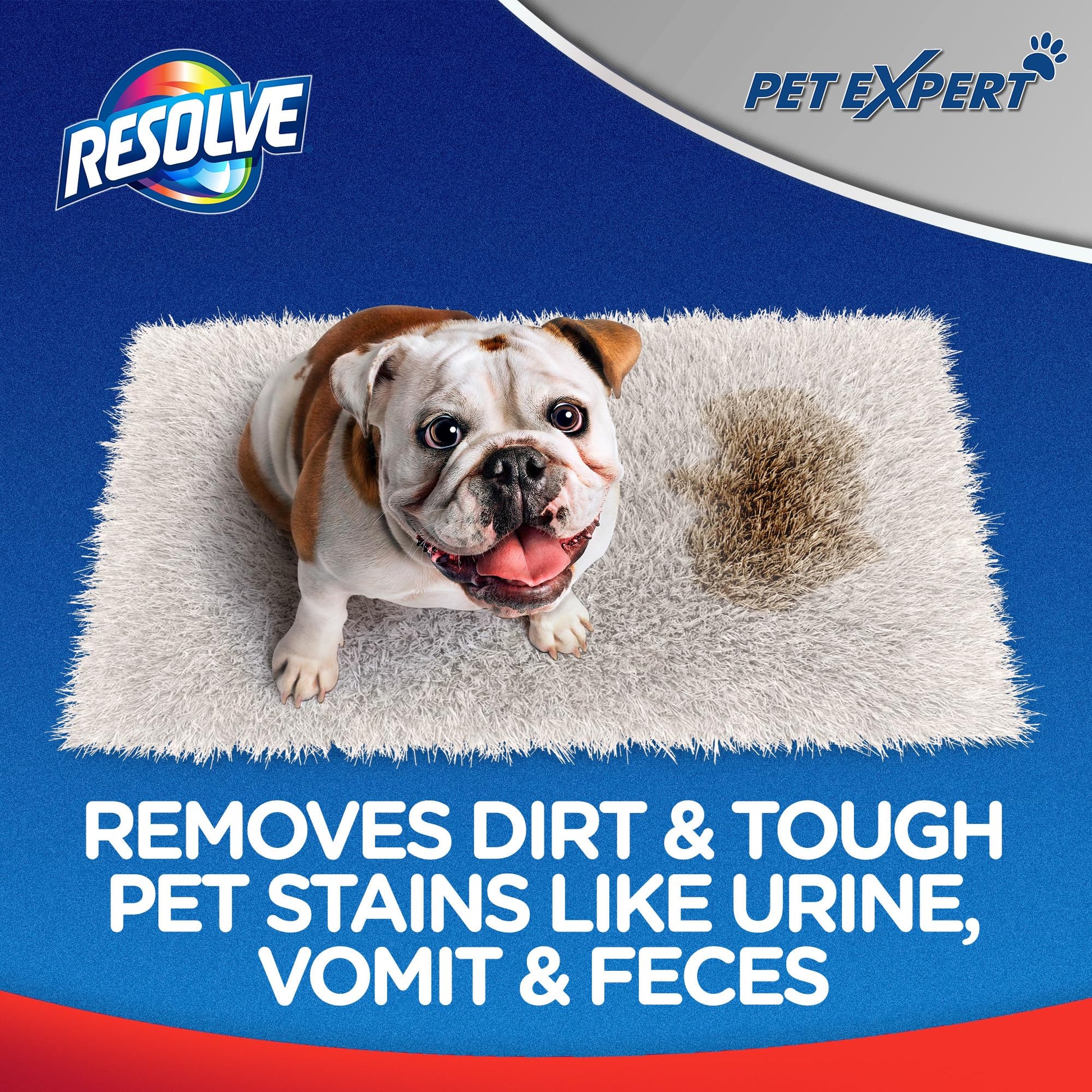 Buy now Resolve Pet Expert Stain and Odor Remover, Carpet Cleaner, Pet Stain and Odor Remover, Carpet & Upholstery Cleaner - Removes Stains and Odors, 22 oz at indiglob india