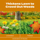 Buy now Scotts Turf Builder WinterGuard Fall Weed & Feed5, Weed Killer Plus Fall Fertilizer, 12,000 sq. ft., 33.84 lbs. at indiglob india