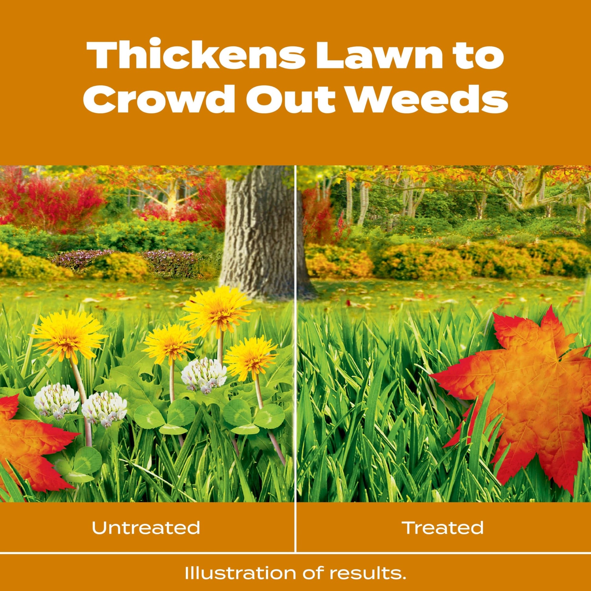 Buy now Scotts Turf Builder WinterGuard Fall Weed & Feed5, Weed Killer Plus Fall Fertilizer, 12,000 sq. ft., 33.84 lbs. at indiglob india