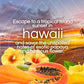 Air Wick Scented Oils 0+5 Hawaii