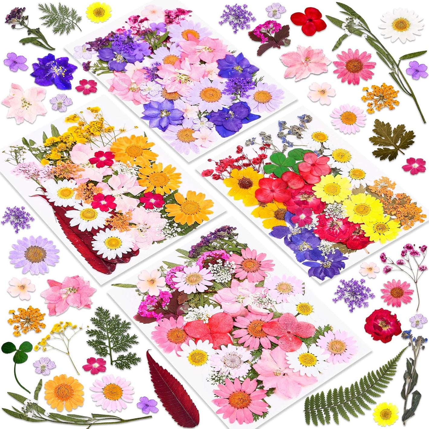 Buy now 140 Pcs Dried Pressed Flowers for Resin, Real Pressed Flowers Dry Leaves Bulk Natural Herbs Kit for Scrapbooking DIY Art Crafts, Epoxy Resin Jewelry Molds, Candle, Soap Making, Nails Décor at indiglob india