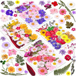140 Pcs Dried Pressed Flowers for Resin, Real Pressed Flowers Dry Leaves Bulk Natural Herbs Kit for Scrapbooking DIY Art Crafts, Epoxy Resin Jewelry Molds, Candle, Soap Making, Nails Décor - My Store