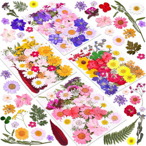 140 Pcs Dried Pressed Flowers for Resin, Real Pressed Flowers Dry Leaves Bulk Natural Herbs Kit for Scrapbooking DIY Art Crafts, Epoxy Resin Jewelry Molds, Candle, Soap Making, Nails Décor - My Store