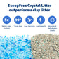 Buy now PetSafe ScoopFree Disposable Crystal Cat Litter Tray - Easy Cleaning Box - Refill Tray for Electric Litter Box - Fragrance Free - 4.3 lb Bags - 6 Pack at indiglob india
